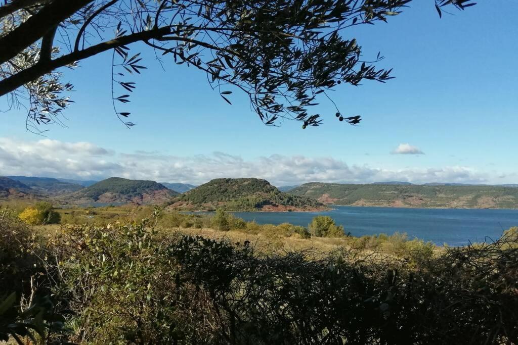 Liausson Studio 32M2 - Dans Propriete Avec Vue Imprenable Sur Le Lac Du Salagou מראה חיצוני תמונה